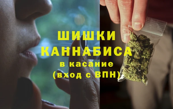 ПСИЛОЦИБИНОВЫЕ ГРИБЫ Алзамай