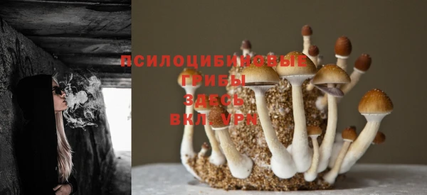 дистиллят марихуана Алексин