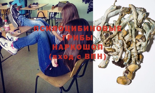 ПСИЛОЦИБИНОВЫЕ ГРИБЫ Алзамай
